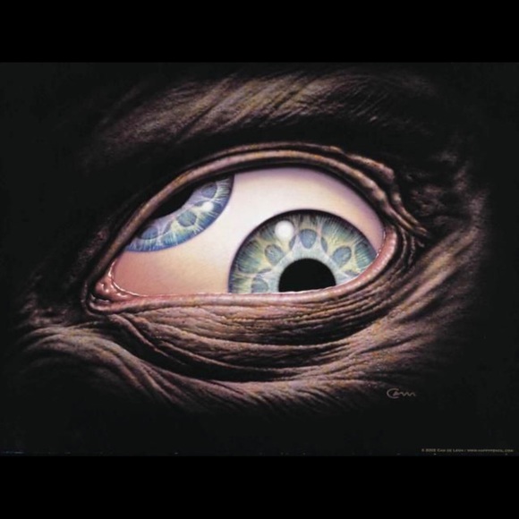 Meet your Posher, Chris - Picture 1 of 1